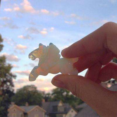 凤凰彩票56677官网入口查询