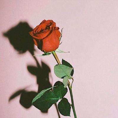 新沙巴APP下载截图